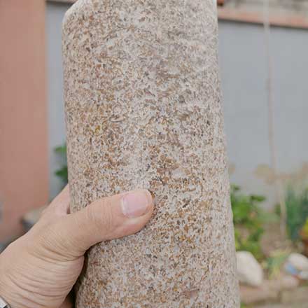 毛慈菇伴生菌包——东北毛慈菇种植黄辐毛菌包与白辐毛菌包