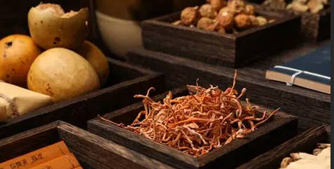 野生中药材前景看好