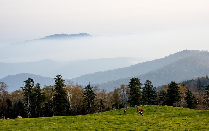 吉林省临江市花山镇简介