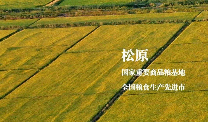 松嫩平原：广袤大地铺展开流金画卷